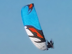  NRG - fly like a wasp sting like a bee